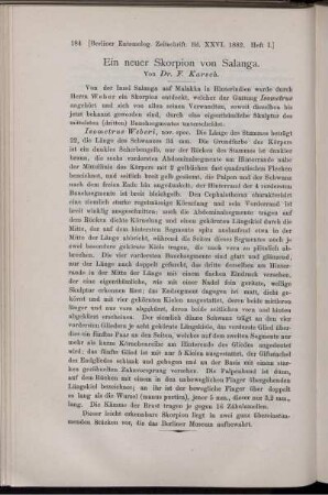 Ein neuer Skorpion von Salanga.