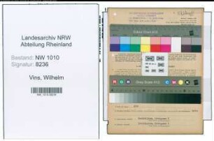 Entnazifizierung Wilhelm Vins , geb. 16.01.1905 (Betriebsmeister)