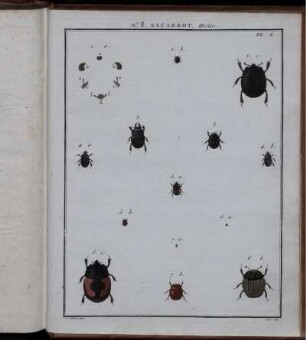 Nr. 8. ESCARBOT. Pl. I. bis Pl. III.