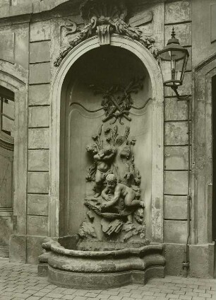 Palais Hoym (Harmoniegebäude), Delphinbrunnen im Hof