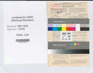 Entnazifizierung Carl Zirker, geb. 19.12.1901 (Buchhalter)