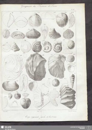 Pl. IX.