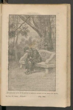 ... las primeras luces de la aurora le hallaron sentado en un banco del jardín. - [Ilustración]