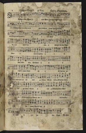 Cantus