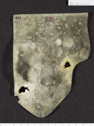 CIL XV 3927 β, Gelatinefolie