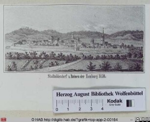 Stadtoldendorf u. Ruinen der Homburg 1650