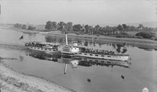 Personen-Seitenraddampfer "Aussig" (III, 1894, Werft Blasewitz) in Fahrt an der Wesenitzmündung