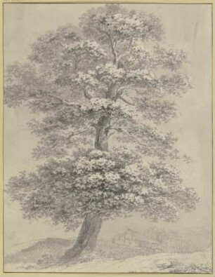 Eichenbaum