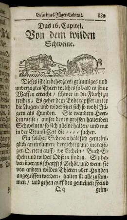 Das 16. Capitel. Von dem wilden Schweine. - Das 33. Capitel. Jagd-Wörter von dem Habicht.