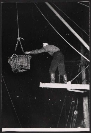 Beim Löschen des frischen Fangs am Fischereihafen Hamburg-Altona