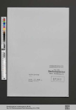 Stiebel, Matilde