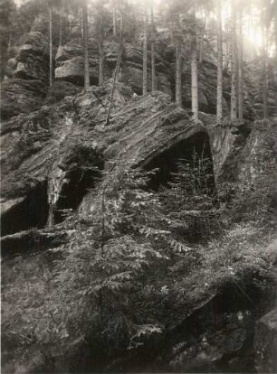 Elbsandsteingebirge. Herabgestürzte Felsen im Lattengrund, durch den man zu den Schrammsteinen aufsteigt