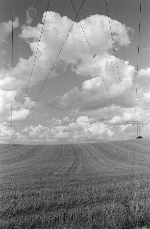 Nahe Angermünde : Nahe Angermünde, Mündesee-Rundweg