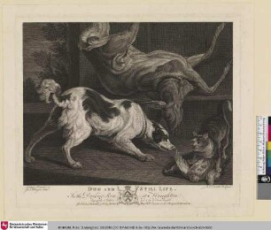 Dog and still life [Hund und Stillleben]