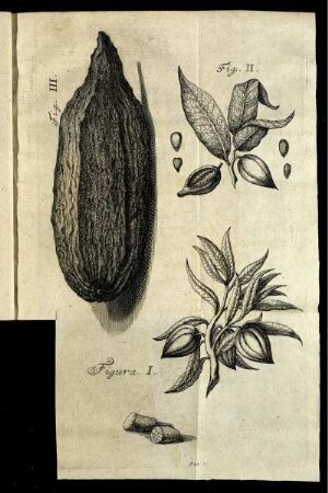Fig. I. - Fig. III.
