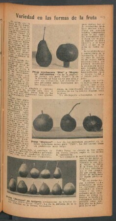 Variedad en las formas de la fruta