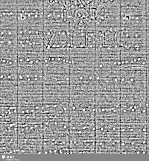Wolf + IAV + WOLFEG = S.93/94
