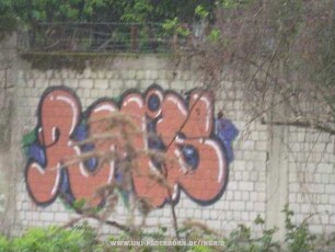 RMS