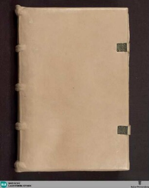 Postilla super Pauli epistolas - Cod. Aug. pap. 19