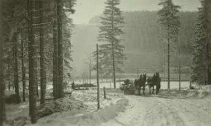 Pferdeschlitten, Holzabfuhr im Winter mit dem Schlitten beim Teichhaus bei Moldava (Moldau)