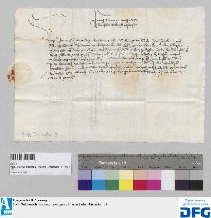 Beglaubigungsschreiben des Grafen Ludwig zu Otingen, Hofmeister des Königs Sigismund, für seinen Schreiber Johannes behufs Einnahme der ihm verschriebenen Reichssteuer.