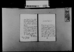 Schreiben von Josef Haas, Neuhausen, an August Lamey: Möglichkeit eines Wechsels von Haas in den Staatsdienst.