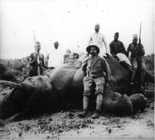 Erlegter Elefant.
