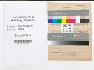 Entnazifizierung Kurt Straubel, geb. 24.08.1896 (Postinspektor)