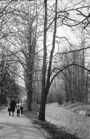 Bad Krozingen: Weg am Neumagen