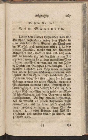 Eilftes Kapitel. Vom Schwinden
