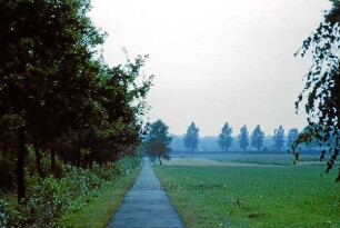 Papendorf: Fahrradweg