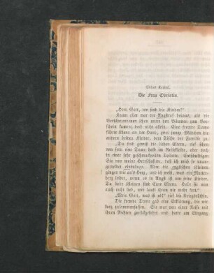 Elftes Kapitel. Die Frau Obristin.