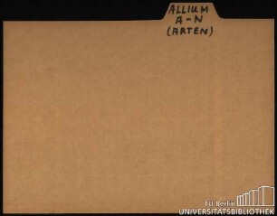 ALLIUM: Allgemein; Arten A-N