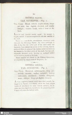 Ostrea expansa. Tab. CCXXXVIII. — Fig. 1