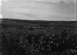 Arbeiterhäuser : Blick von der Fazenda bei Ribeirão Preto auf die Häuser der Arbeiter.