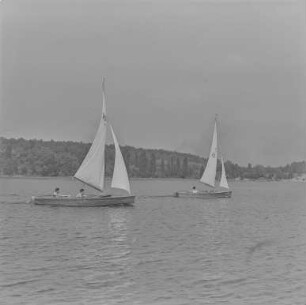 Knappensee : Segelboote auf dem Knappensee