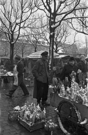 Letzter Schnee und Vorfrühling.