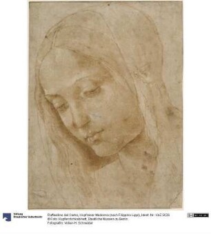 Kopf einer Madonna (nach Filippino Lippi)