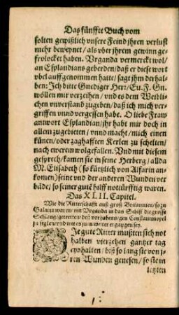 Das XLII. Capitel.