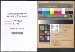 Entnazifizierung Hans Stricker , geb. 02.02.1892 (Ingenieur)