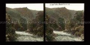 Blick über Wald und Fluss Bode zum Hexentanzplatz, Thale