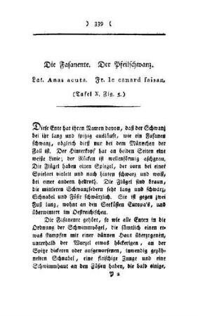 ¬Die¬ Fasanente, der Pfeilschwanz : Lat. Anas acuta ; Fr. le canard faisan ; (Tafel X, Fig. 5)