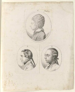 Bildnisse dreier Knaben aus Physiognomische Fragmente von Johann Caspar Lavater