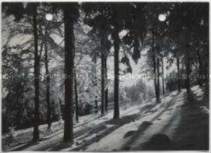 Winterlandschaft, Taunus, Feldberg