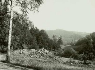 Tal der Schwarzen Pockau bei Pobershau-Hintergrund am Tiefen Blühend Glück Stolln, Blick talaufwärts