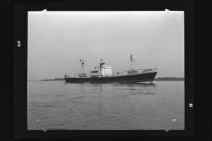 Damaskus ex Belmonte ex Wulfsbrook (1954), Frachtschiff, Reeder Union AG, Kiel, Bau-Nr. 445