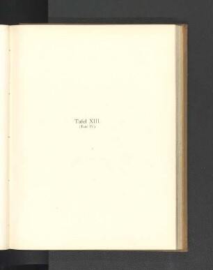 Tafel XIII. (Tafel IV.)