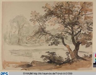 Landschaft mit einem Weiher
