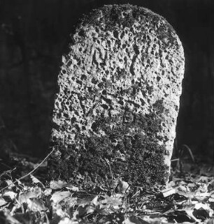 13 Grenzsteine (Justizamts- und Gerichtsgrenzen); Meinhard, Auf dem Stein