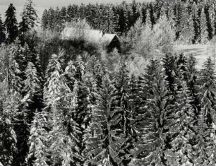 Winterlandschaft im Westallgäu bei Weiler